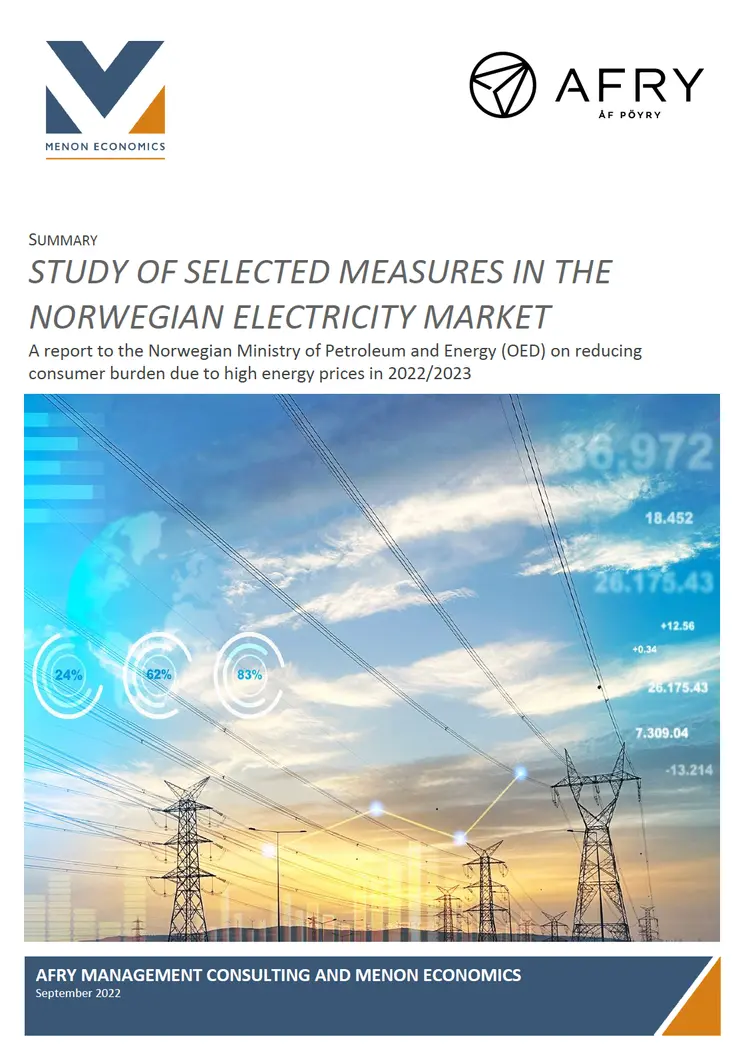 2022 Syntetiske nett Englsih