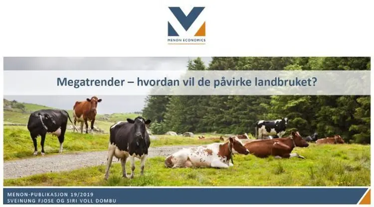 2019 19 e1554460785554