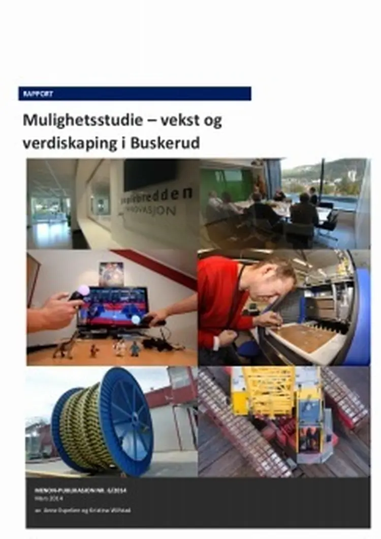 Mulighetsstudie i buskerud vekst og verdiskaping 243x343