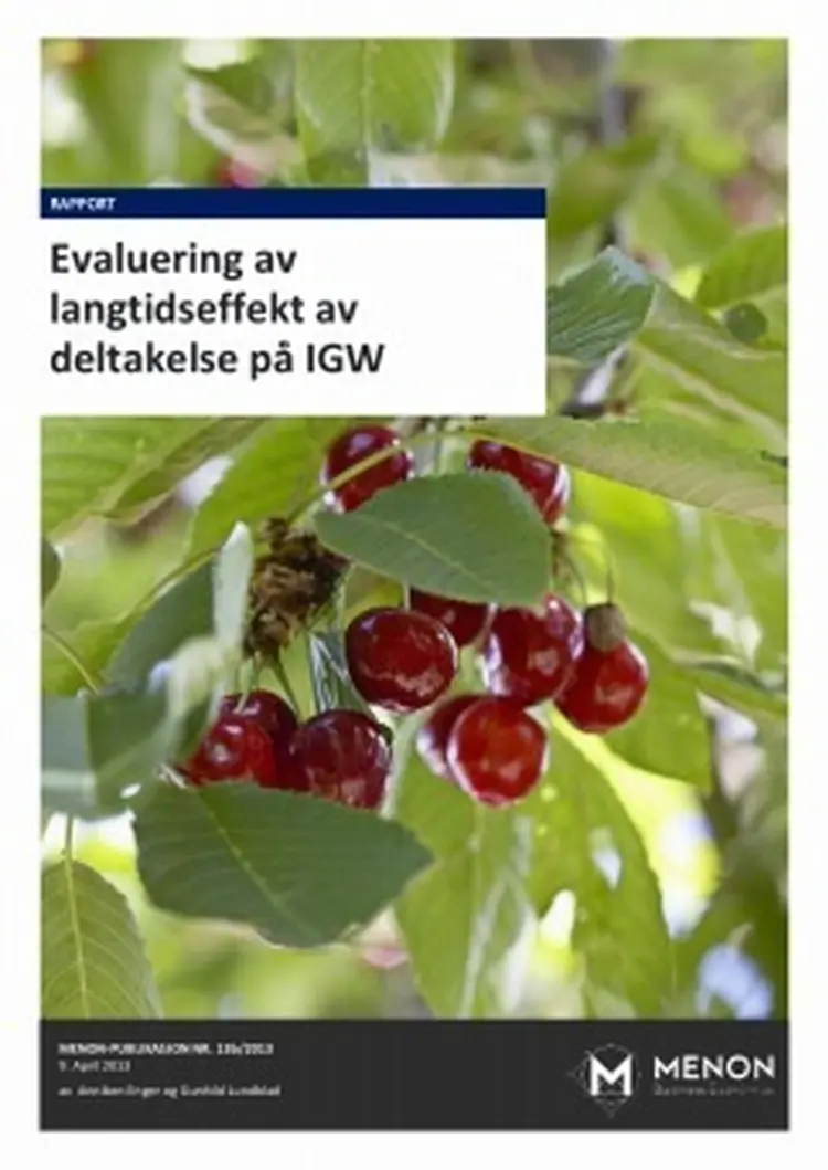 Rapport langtidseffekt igw 2013 090413 243x343