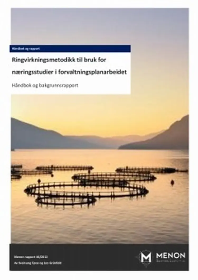 Rapport 46 2012 metode for ringvirkningsanalyser i forvaltn