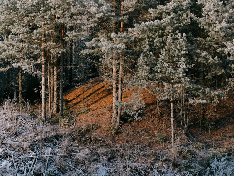 Ey J0 Ijoi MS Is Imsi Oi JBMW Qif Q Dro2deyf Qwm sb97z Xu OIL7 UO Lu Oq8 Xpi4 TK7 Nz DKN Ier Nwhqz Sgjmw97i ID Ow9lb Ttu Sdlot7 FTR Pad UUJ Yy Aorh Imhmf R8 TVFXNA Htquc